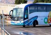 Encontrar trabajo en transportes es mucho más fácil con estos cursos gratuitos de conductor de camión y autobús