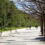 arboles-Passeig-Ferrocarril