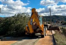 Dispositiu especial a Ontinyent: més de 40 alertes ateses pels forts vents