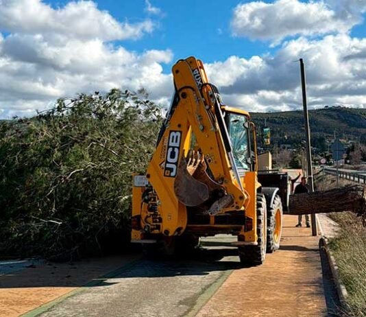 Dispositiu especial a Ontinyent: més de 40 alertes ateses pels forts vents
