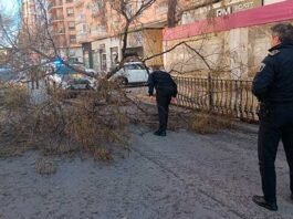 Xàtiva inicia els treballs de reparació després del pas de la borrasca Kristin