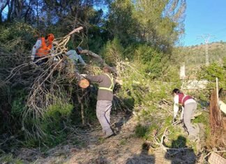 48 horas de emergencia: Xàtiva hace recuento de los destrozos provocados por la borrasca Nils