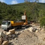 endavant-caminos-forest