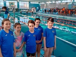 El futur i el present del Club Natació Xàtiva brillen amb llum pròpia a València i Elx