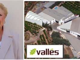 Inmaculada Enri, 75 anys de llum, força i generositat