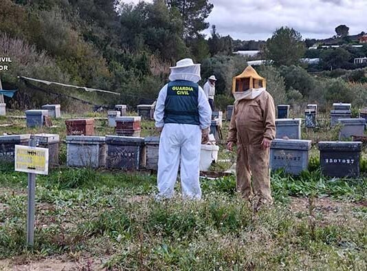 Detenido el ladrón de colmenas de La Canal de Navarrés
