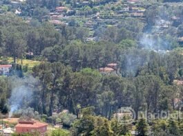 Xàtiva renova els plans de prevenció d’incendis forestals a Bixquert