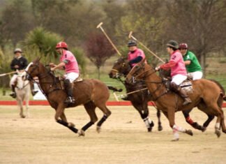 Cómo influye el olor del poni en las tácticas de polo durante un partido