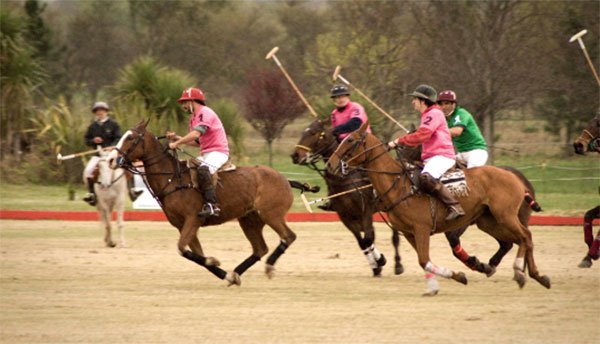 caballos