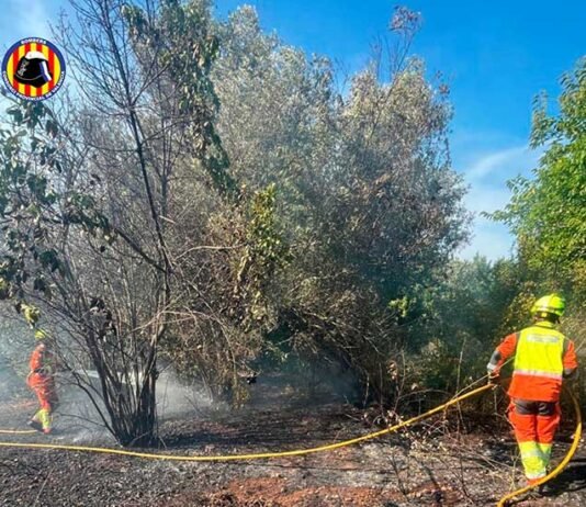 L’onada de calor dispara les alarmes: 25 incendis de vegetació en només un dia a la província de València