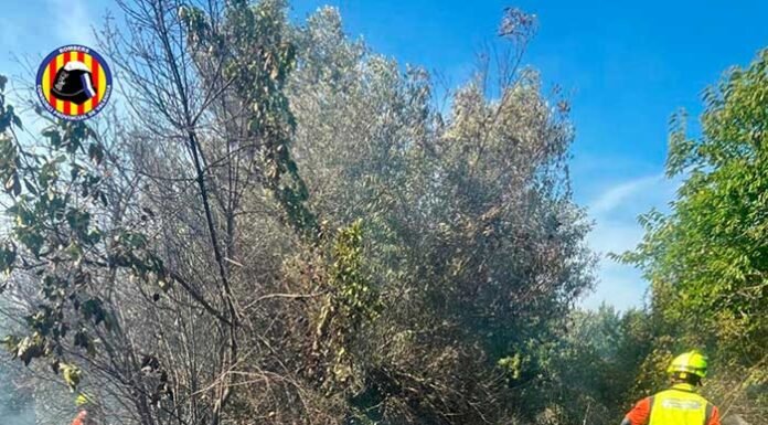 L’onada de calor dispara les alarmes: 25 incendis de vegetació en només un dia a la província de València