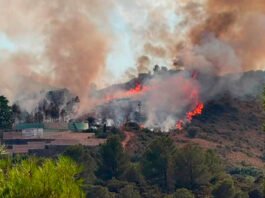Estabilitzat un incendi forestal a la partida de Bolvens de Xàtiva