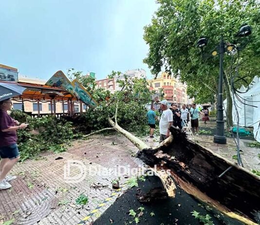 La tempesta i el fort vent causen desperfectes en la Fira de Xàtiva