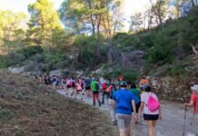Èxit rotund a Aielo de Malferit amb la celebració d’una nova edició de la Volta Entremuntanyes