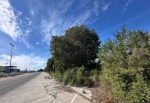 Xàtiva renovarà la zona verda junt al centre comercial amb un nou contracte de desbrossament i neteja
