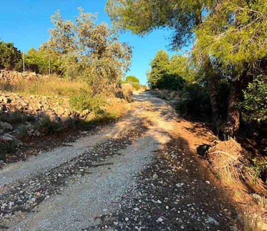La Diputació aprova una ajuda de 550.000 euros per a millorar quatre camins rurals de Quatretonda