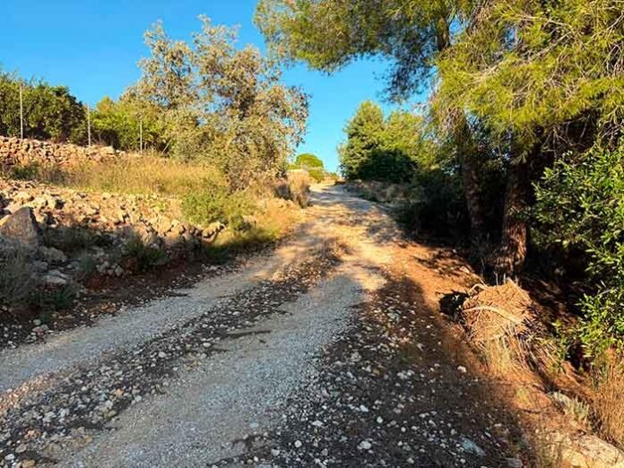 Quatretonda-Carassol-dels-Corrals--(2)