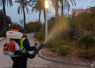 L’Olleria intensifica la campanya de control del mosquit tigre a tot el municipi
