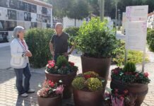La Regidoria de Cementeri d’Ontinyent commemora el Dol perinatal amb diferents accions de visibilització