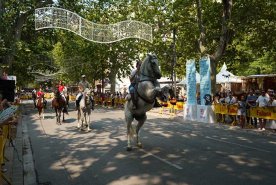 536143825_1178212544350195_5251731509389281808_n