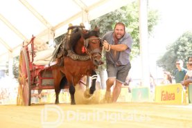 IMG_1621