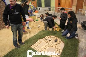 IMG_3223-w800-h600-w800-h600