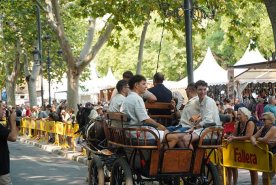 534827034_1178212584350191_8120314890724515464_n