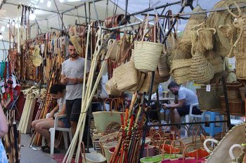 IMG_0709